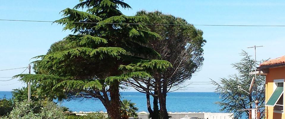 Apartments Lana Umag Rom bilde