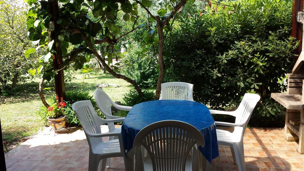 Apartments Lana Umag Rom bilde