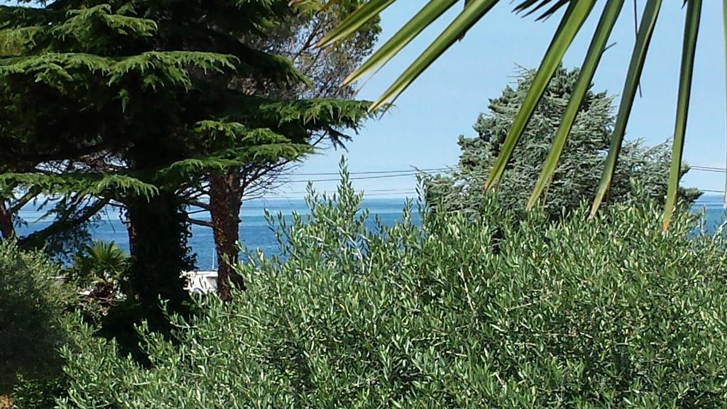 Apartments Lana Umag Rom bilde